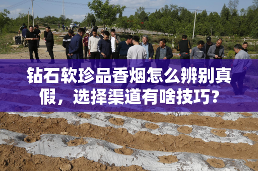 钻石软珍品香烟怎么辨别真假，选择渠道有啥技巧？